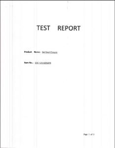 Test Report